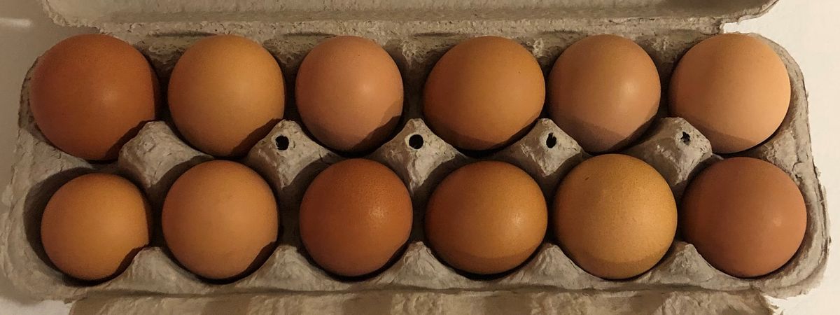 Fresh eggs in a carton